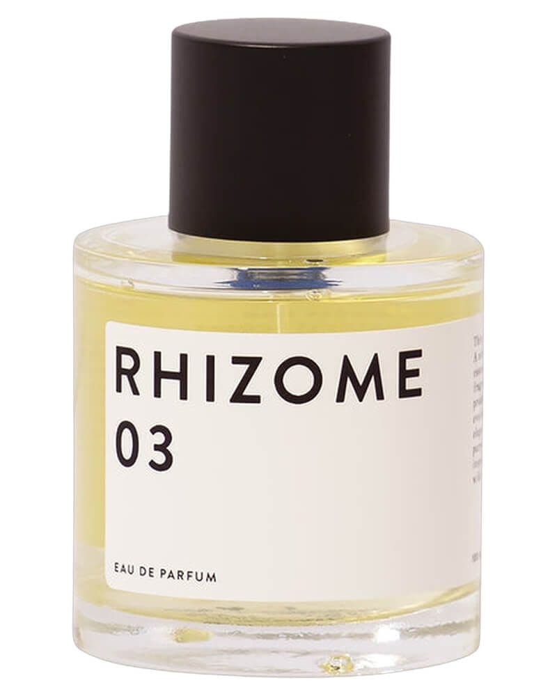 Rhizome 03