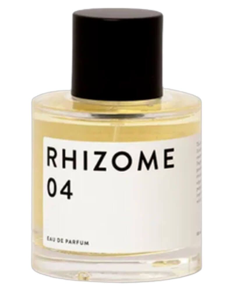Rhizome 04