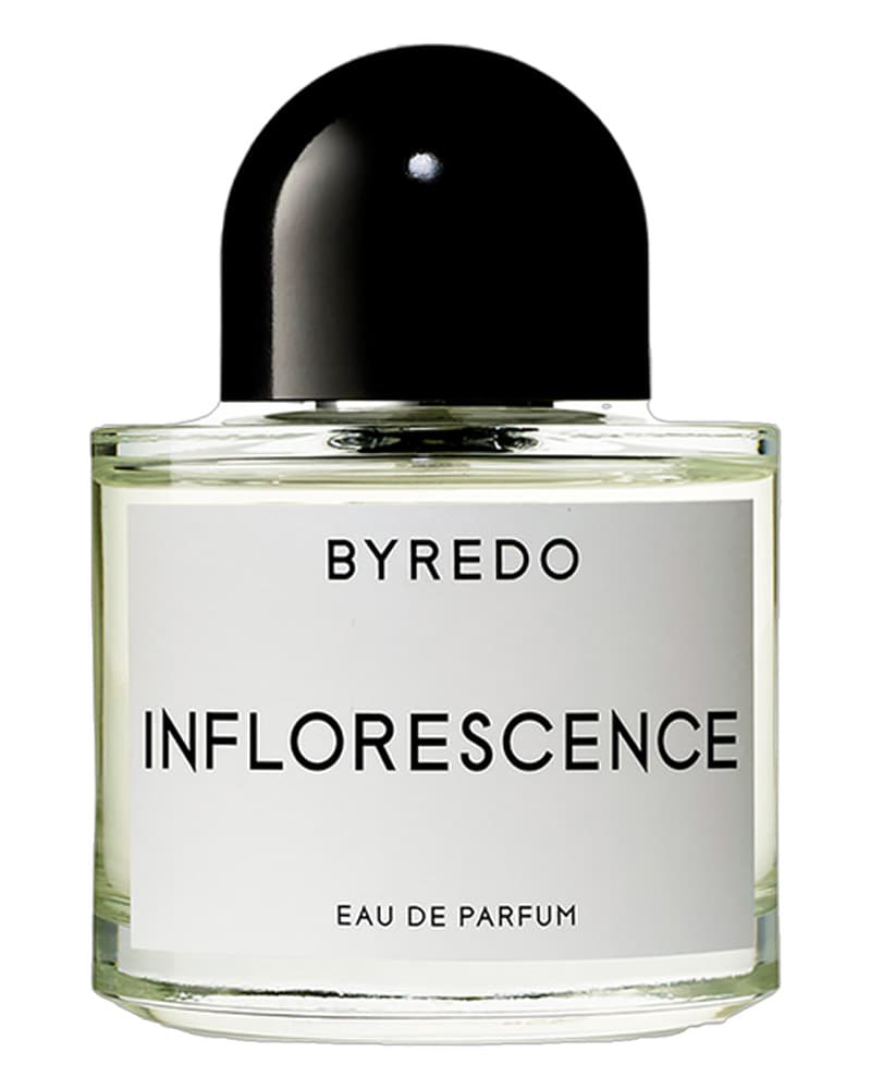 BYREDO Inflorescence