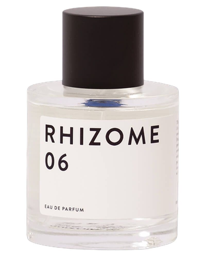 Rhizome 06