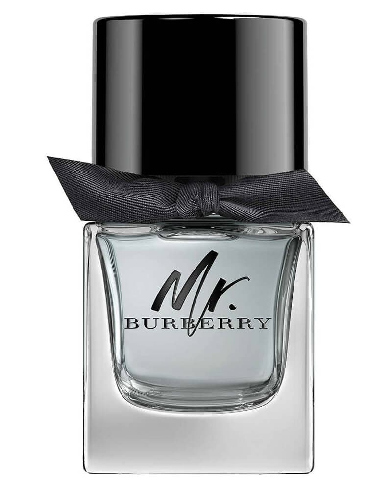 Burberry Mr Burberry