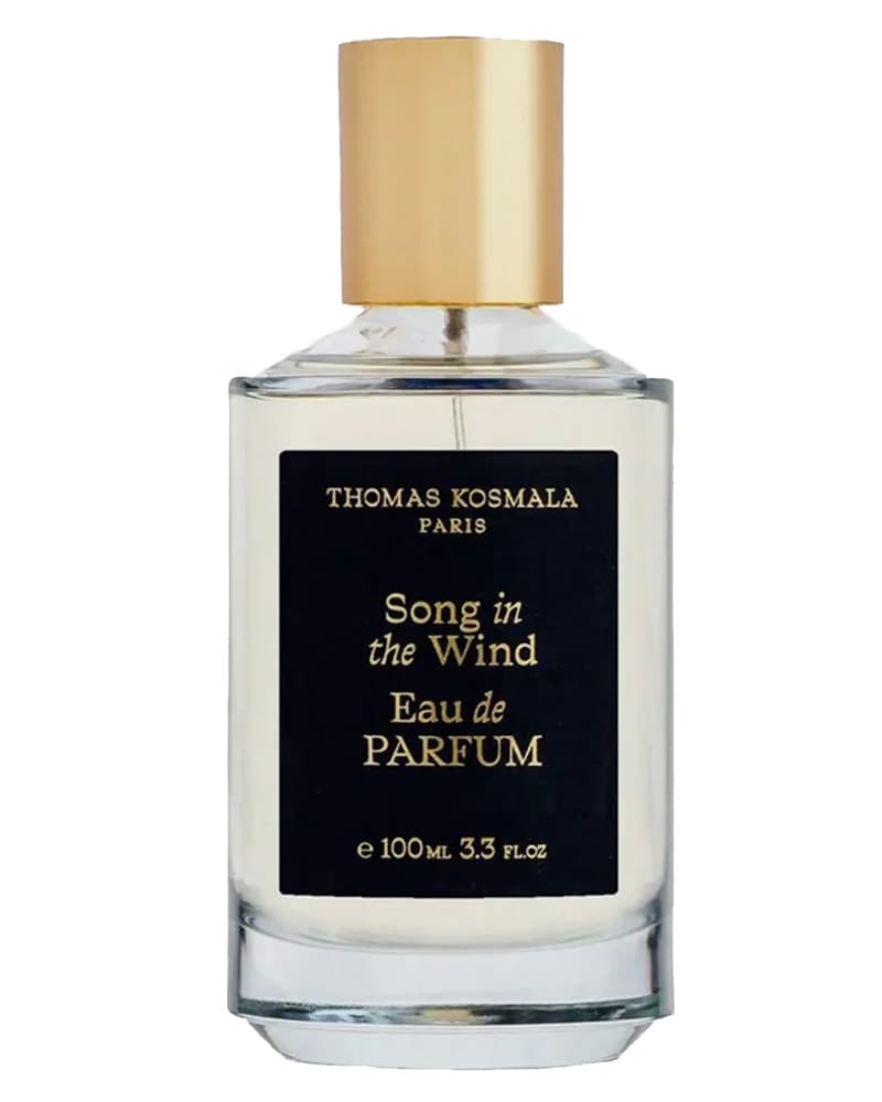 Thomas Kosmala Song in The Wind