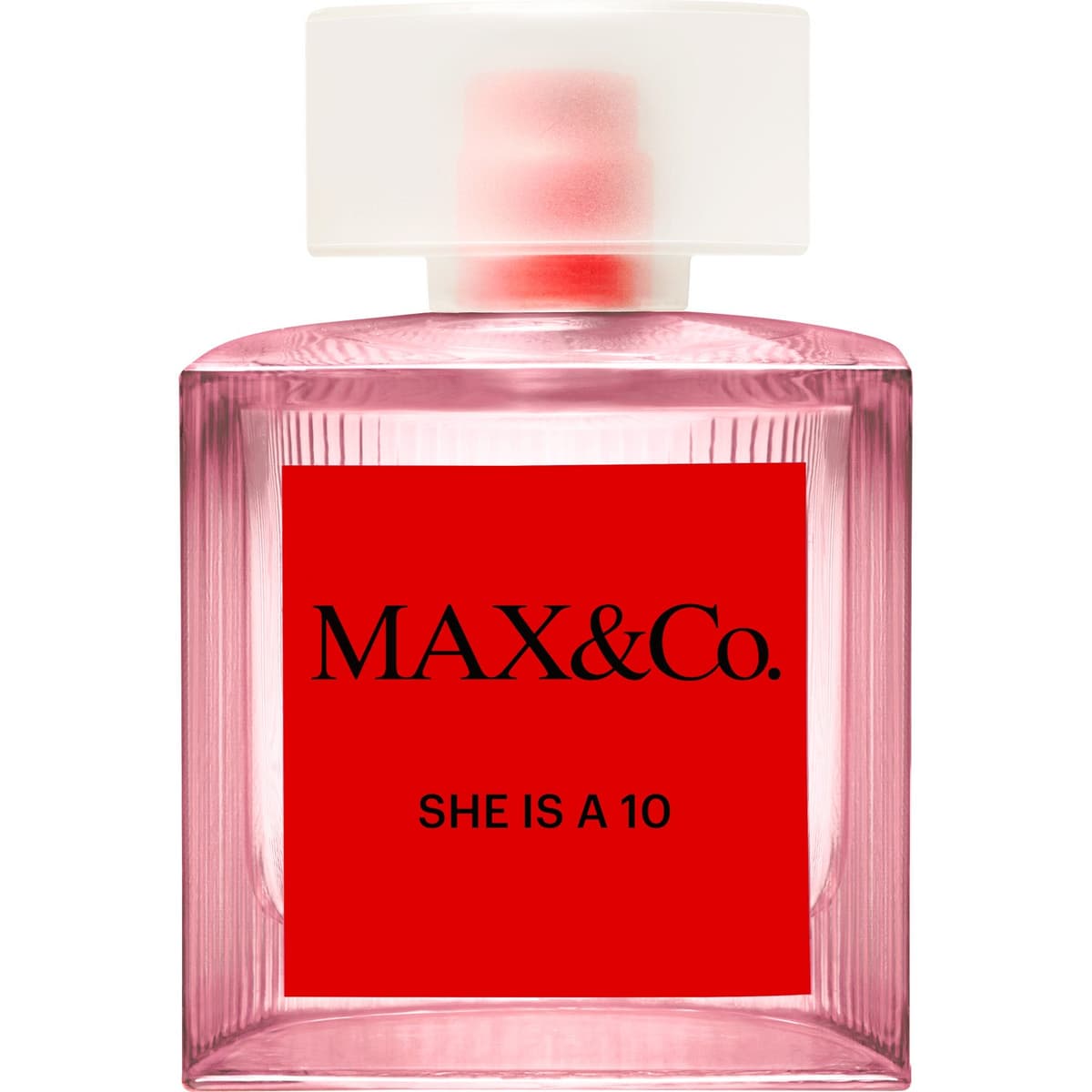 MAX&Co She is a 10